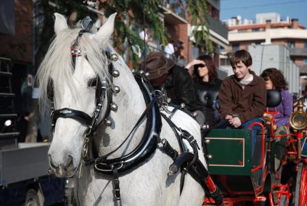 Homenatges i records a la multitudinària festa dels Tres Tombs 2008 -Imatge 1-