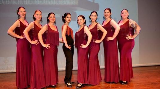 Dansa flamenca: "Volver" -Imatge 1-