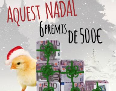 La UBR reparteix aquest Nadal 6 premis de 500 ripoeuros -Imatge 1-