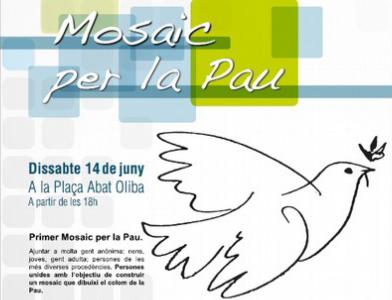 LC-Solidaritat participa a les activitats per la pau del proper 14 de juny -Imatge 1-