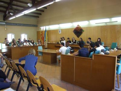 L'alumnat de l'Institut Palau Ausit protagonitza el Ple Juvenil -Imatge 1-