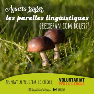 Fes-te voluntari per la llengua de l'Oficina de Catal de Ripollet -Imatge 1-