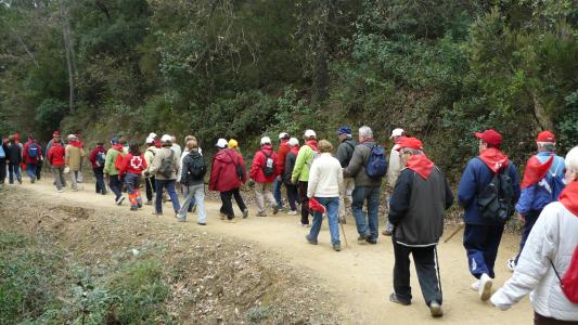 Ripollet participa al Cicle de Passejades per a la gent gran -Imatge 1-