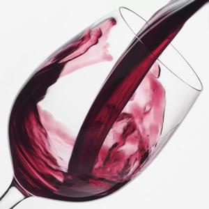 El Club Bàsquet Ripollet ofereix un tast de vins  -Imatge 1-