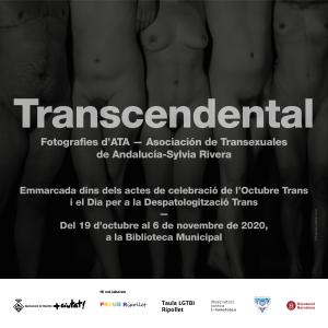 Exposici: "Transcendental" -Imatge 1-