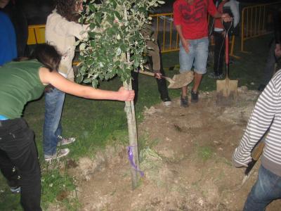El Kftí se suma al Dia de l'Arbre -Imatge 1-