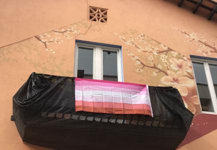 L'Ajuntament crida a participar a l'acció #GiralaTruita contra la lesbofòbia -Imatge 1-