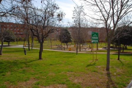 S'inicien els treballs de regeneració de la zona verda Gassó-Vargas -Imatge 1-