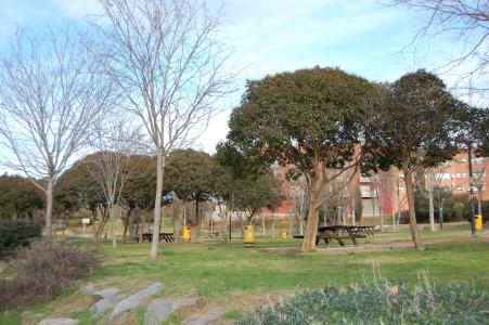 Medi Ambient presenta el llibre 'Ripollet i els arbres' -Imatge 1-