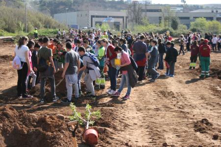 Els escolars ripolletencs planten 36 varietats de fruiters en una nova edició del Dia de l'Arbre -Imatge 1-