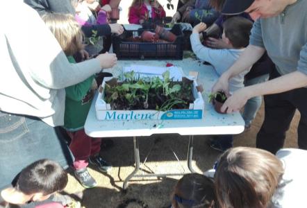 Prop d'un centenar de persones realitzen el seu hort ecològic a la Jugatecambiental -Imatge 1-