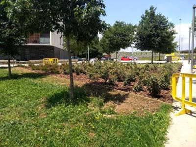 La plaça dels Alcaldes de la República s'omple de vegetació -Imatge 1-