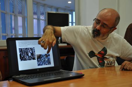 Un grup d'ornitòlegs llancen una campanya de protecció dels nius de corriols al Ripoll -Imatge 1-