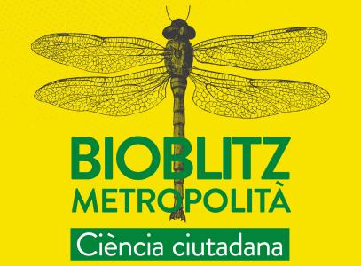Les Jugatecambientals dels parcs dels Pinetons i de Massot acullen el Bioblitz Metropolità  -Imatge 1-