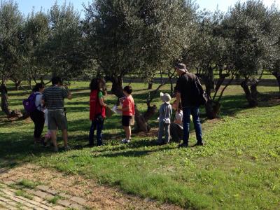 Qui es menja qui? A la Jugateca Ambiental del parc dels Pinetons -Imatge 1-