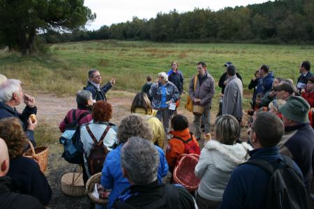 Una seixantena de persones surten a buscar bolets amb la Casa Natura -Imatge 1-