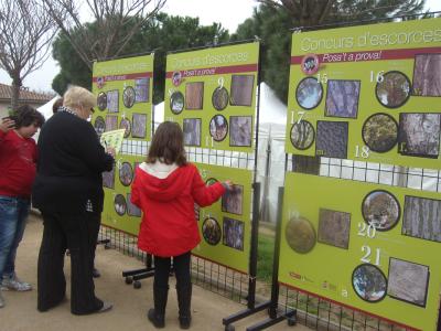 Estrenat el Concurs d'escorces -Imatge 1-