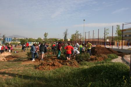 Més de 300 alumnes participen al Dia de l'Arbre 2011 -Imatge 1-