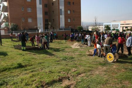 Uns 200 nens i nenes de la vila participen al Dia de l'Arbre -Imatge 1-
