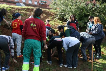 Ripollet celebra un any més el Dia Mundial de l'Arbre -Imatge 1-