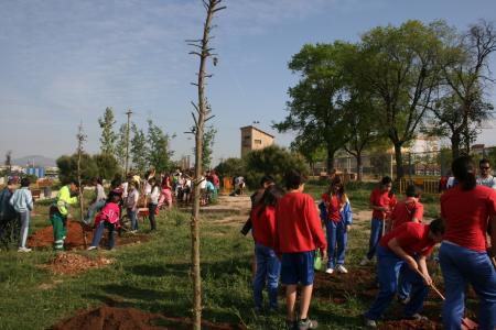 22 anys celebrant el Dia de l'Arbre -Imatge 1-