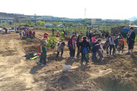 Ripollet celebra el Dia de l'Arbre amb una plantada de fruiters al Molí d'en Xec -Imatge 1-