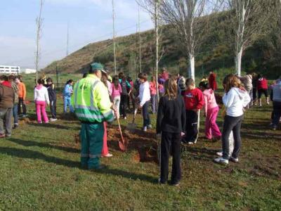 25 anys de celebració del Dia de l'Arbre -Imatge 1-