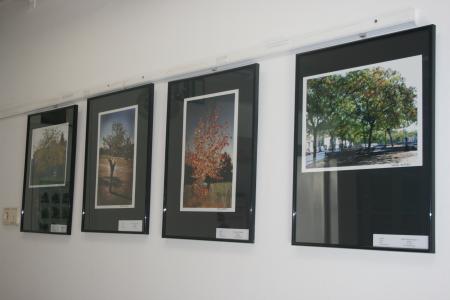 La Casa Natura exposa les imatges de Ripollet durant la tardor -Imatge 1-