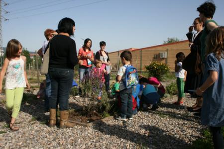 Més de 3.000 visites a la Casa Natura -Imatge 1-