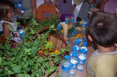 L'Agenda d'Estiu de la Casa de Natura finalitza amb èxit -Imatge 1-