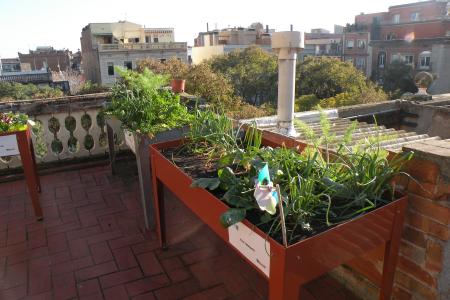 La Casa Natura organitza un taller d'horticultura urbana -Imatge 1-