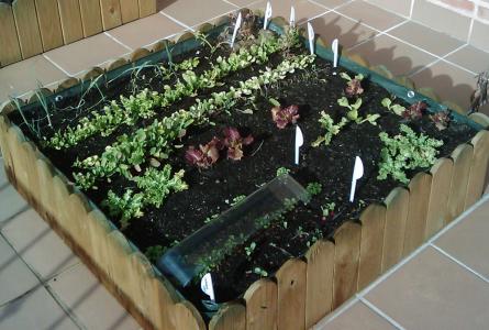 Del 20 al 22 d'octubre tornen les jornades d'horticultura ecològica -Imatge 1-
