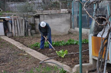 En marxa un curs de formació ocupacional de jardineria amb 15 alumnes -Imatge 1-