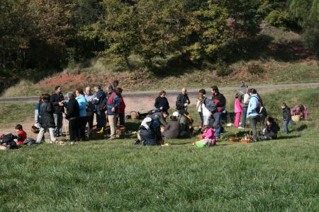 Els ripolletencs participen de l'Agenda de Tardor buscant bolets  -Imatge 1-