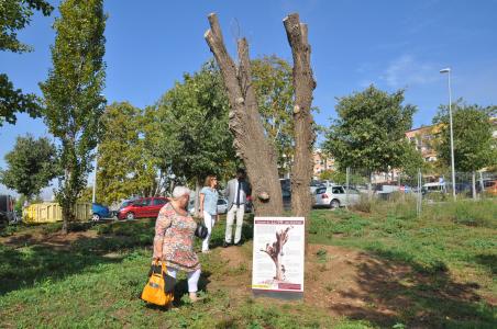 L'antic om de Can Mas, model per a l'educació ambiental -Imatge 1-