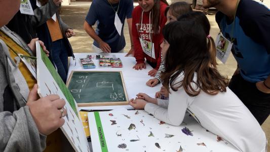 Una quarantena d'infants han participat en la descoberta dels parcs dels Mestres i de la Solidaritat -Imatge 1-