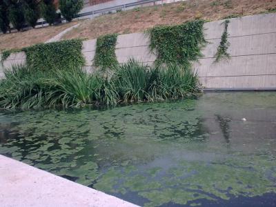 Juntes de Govern Local<br>Ms de mig mili d'euros a parcs i jardins -Imatge 1-