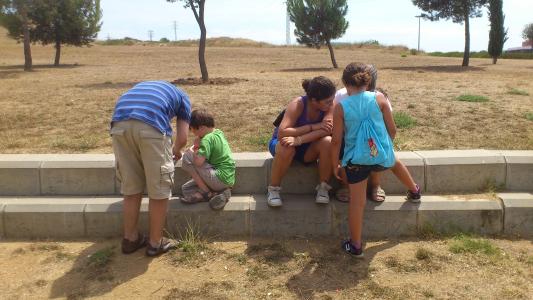 Grans i petits descobreixen jugant l'ecosistema del parc dels Pinetons -Imatge 1-