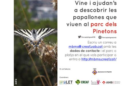  L'AMB farà un estudi de diversitat de papallones al parc dels Pinetons -Imatge 1-