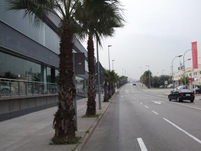 S'inicia la campanya de poda dels arbres de Ripollet -Imatge 1-