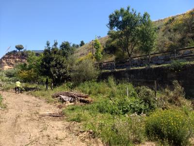 Iniciades les obres del projecte de recuperaci ambiental del riu Ripoll -Imatge 1-