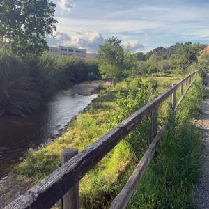 Passejada per la zona recuperada del riu Ripoll -Imatge 1-
