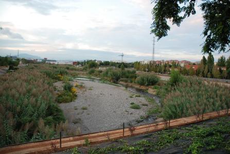 El COP-CpR demanarà un pla ocupacional per netejar el riu -Imatge 1-