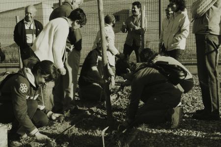 Èxit del taller d'horticultura urbana -Imatge 1-