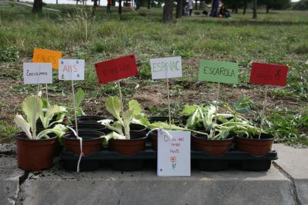 Ple d'assistència al taller d'horts portàtils -Imatge 1-