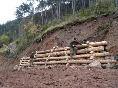 El programa "Ripollet Cultiva't" finalitza amb una xerrada sobre la conservació d'entorns fluvials -Imatge 1-