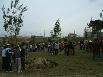 Ripollet celebra el Dia de l'Arbre amb la plantada de 30 arbres -Imatge 1-