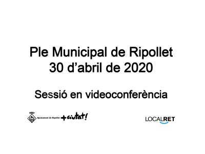 Vegeu el vídeo de la sessió plenària del 30 d'abril, realitzada per via telemàtica -Imatge 1-