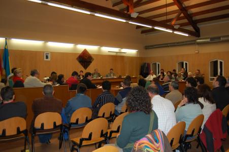 Ple municipal del 18 de desembre de 2008 -Imatge 1-