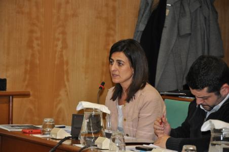 Ple ordinari del 20 de desembre de 2012<br>S'aprova el pressupost pel 2013 -Imatge 1-